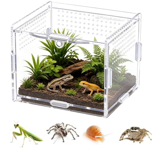 Spider Terrarium - Akryl Reptil- och insektshabitat