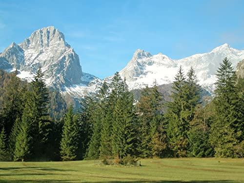 THISIT Malen nach Zahlen für Erwachsene Kinder Anfänger,Berge,Alpen,Bäume-40 * 50cm Rahmenlos