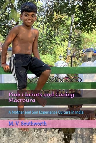 Pink Carrots and Cooing Macroura: A Mother and Son Experience Culture in India