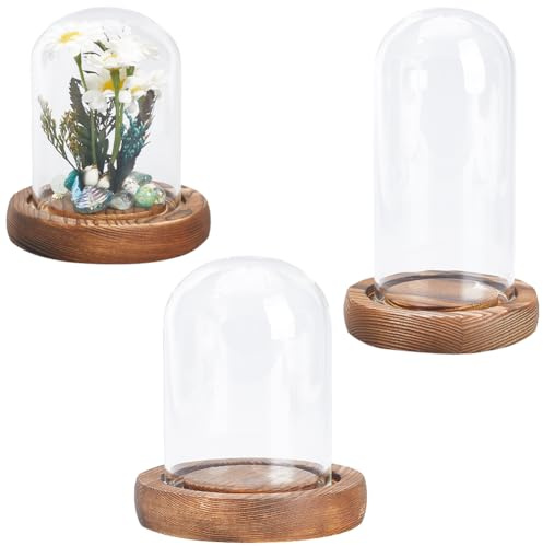 SUNNYCLUE 3 Sizes Glass Dome Cover Clear Glass Display Dome Cover with Wood Base Small Glass Domes Mini Glass Cloches Glass Cloche Dome Glass Display Dome for Home Party Wedding Gift DIY Crafts
