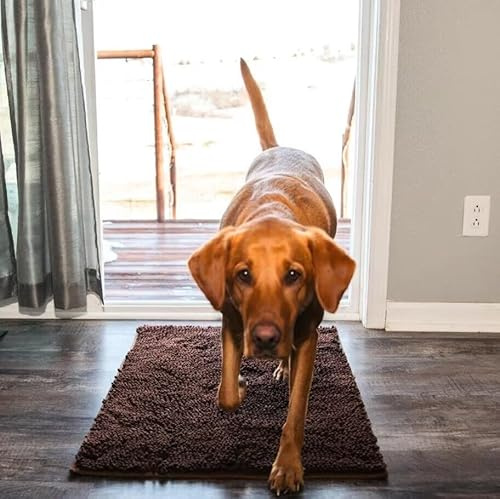 SWZEC Premium cleany mat hundematte