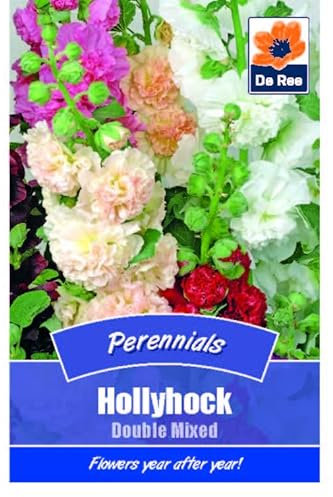 Hollyhock Double Mixed Perennials - 40 Seeds Flower Plant Bedding Borders Containers Pots Grow Your Own Garden Plant Seed