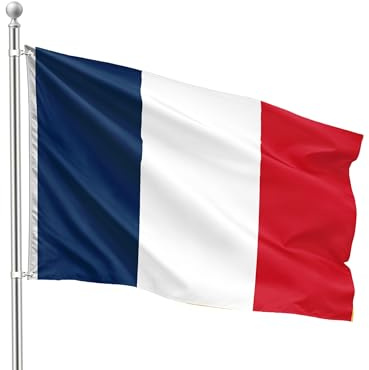 FLAGLY Drapeau France 90 x 150 cm – Modèle standard en polyester 90 g/m² – résistant aux intempéries et aux UV, avec œillets (90 x 150 cm, France)
