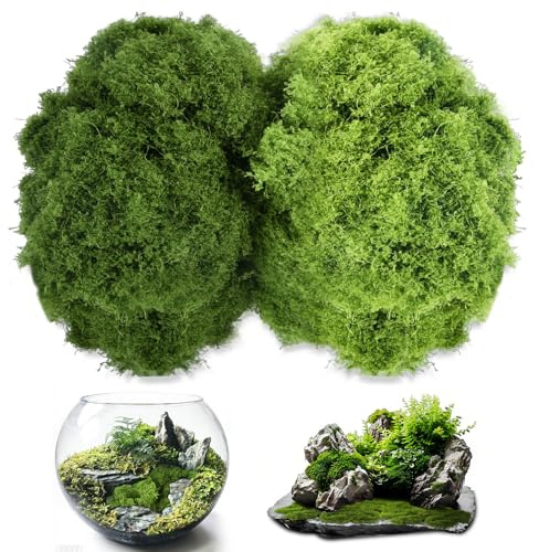 Musgo Artificial, Simulación de Musgo Falso Manualidades, Planta Verde Artificial Musgo Falso Decorar Musgos Decorativo para Pared Boda Pascua Mesa Hogar Oficina Arte Paisaje Jardín Decoración (C)