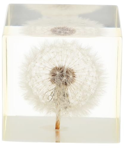 GALPADA Tarassaco Decorazione Sfera Resina, di Cristallo Personalizzabile Ornamento, Cubo Regalo Raffinato da Scrivania, Casa Ufficio per Festa