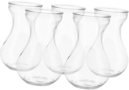 DOITOOL 5Pcs Glass Flower Containers Hydroponic for Home Office Decoration Simple Chic Transparent Vases for Hyacinth Bulbs Planting and Table Centerpiece