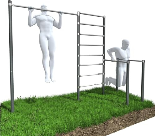 QLS ZO6-60 - Stazione fitness per esterni, con barra per trazioni, dip station e parete a pioli, set da giardino, regolabile in altezza, fino a 250 kg, in acciaio zincato