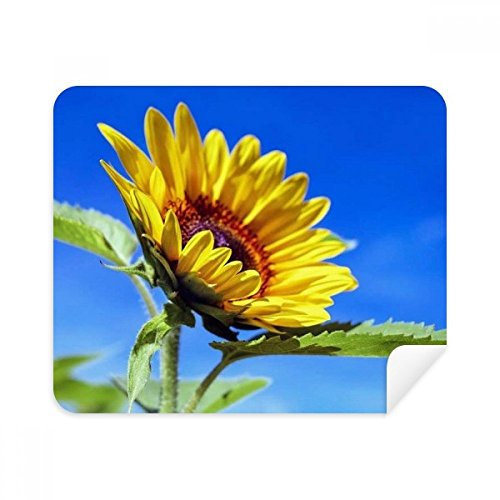 DIYthinker Sonnenblumen-Blauer Himmel Sonnenschein Blume Telefon Bildschirmreiniger Gläser Reinigungstuch 2Pcs Suede Fabric