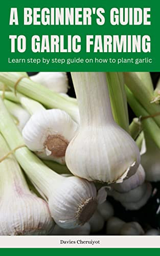 A BEGINNER'S GUIDE TO GARLIC FARMING: Learn step by step guide on how to plant garlic
