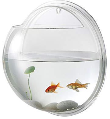 Aquarium Wall Mounted Plant Bowl - 6 Inch Round Acrylic Betta Fish Tank, Hanging Bubble Vase for Plant Propagation & Home Office Wall Decorations