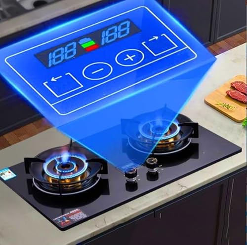 THEGA 5.0 KW Double Gas Cooker - Portable Gas Stove, Tabletop And Flush-mounted Pulse Ignition Gas Ranges, Cooktop Ith Timer Function Stove And Flame Out Protection, Easy To Clean(NG)