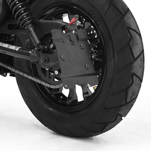 ZIEGER seitlicher Kennzeichenhalter kompatibel mit Hyosung GV 125 S Aquila