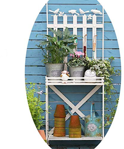 Pflanzenregale Innenhof Fallen Doppelstöckigen Blumenständer Gartengrünpflanzenständer Schmiedeeisernes Regal Lebensmittelständer Gartendekoration (Color : Weiß, Size : 60x41x151cm)