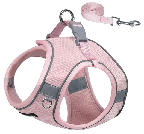 AIITLE Pettorina e guinzaglio per cani, imbracatura per cuccioli anti-tiro con rete super traspirante, riflettente per passeggiate all'aperto per cani di piccola taglia, gatti Rosa L