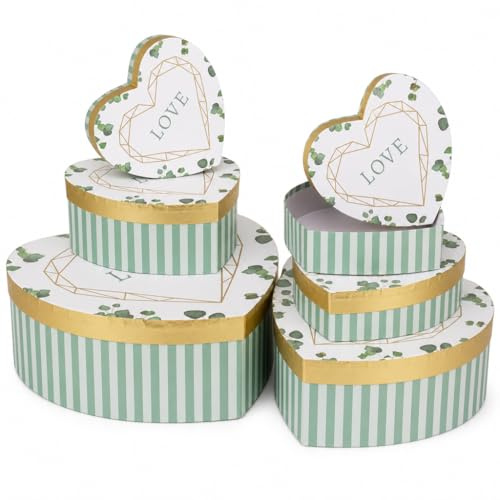 8-teiliges Set Geschenkschachteln Geschenkboxen Geschenkkarton, 6 Stück Geschenkkartonage Boxenset Weihnachten Geburtstag Hochzeit, ca. 22,5 x 22,5 x 8 cm (Herzform Weiß-Grün)