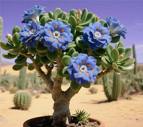 Naturale Rizoma Di Rosa Del Deserto, Resistenti Al Freddo E Alla Siccità, Facile Da Coltivare, Adatto A Primavera E Autunno-2 Rizoma-C