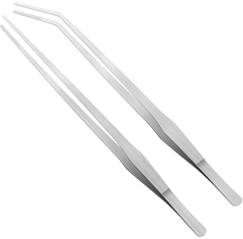 2 Pcs Long Tweezers, Reptile Feeding Tongs, Feeding Tongs for Reptiles, Stainless Steel Durable Long Tweezers Terrarium for Fish Tank Plant Aquascape Tools Feeding Tongs(27cm)