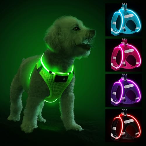 PcEoTllar Leuchtgeschirr LED, aufladbar & reflektierend für Hunde, Grün-XS | Hundegeschirr leuchtend, beleuchtetes Leuchtgeschirr für Welpe, kleine & mittlere Hunde. Atmungsaktiv, 9 Modi.
