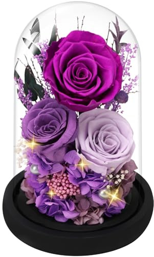 Casaido Preserved Roses Flowers for Delivery, Mothers Day Rose Gifts for Mom Her, Purple Forever Flores in Glass Dome for Wife Girlfriend Grandma, Anniversary Birthday Gift for Vanlentines Christmas