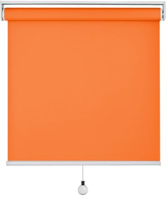 FENGSHOUU Persianas Enrollables Opaca Inalámbrica,Estor Enrollable Tipo Resorte De Elevación Automática,Impermeable,Anti-UV,para Oficina/Hogar,Personalizada (170cm x 160cm)