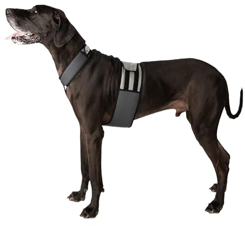 CoolerDog Dog Cooling Vest & Cooling Collar – Ice Vest for Hot Weather Heat Relief, Re-Freezable Pure Water Inserts (X-Large 34”–40” Girth)
