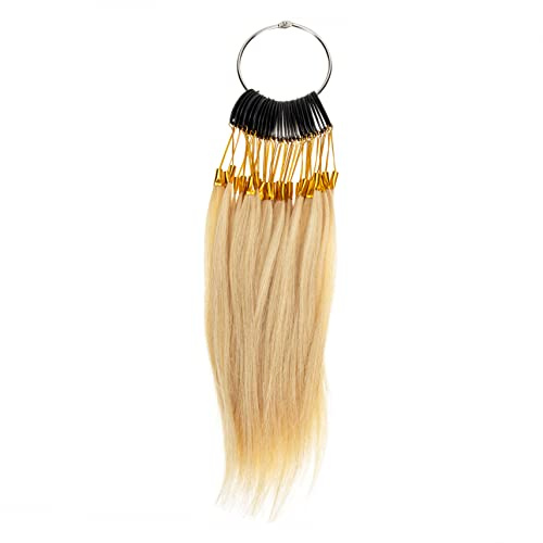 PACKOVE Nuancier de Cheveux Humains Beige Kit de Test de Coloration Capillaire Échantillons Faciles à Stocker pour Salon de Coiffure et Barbier