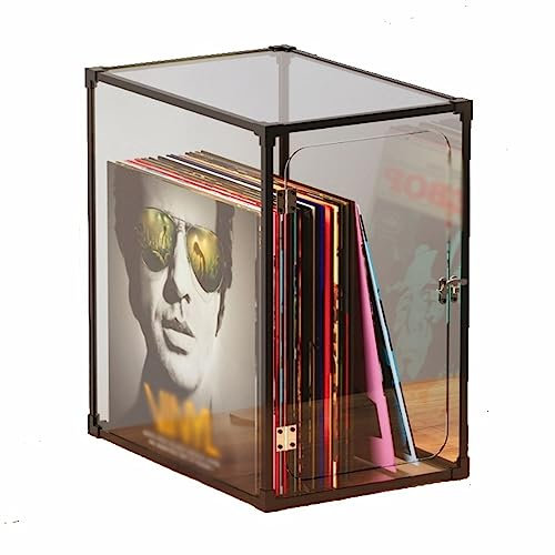 Vinylskivhållare Förvaringslåda for vinylskivor, förvaringsväska for LP-skivor med ram av aluminiumlegering, organisk glasomslag for skivförvaringslåda, lätt att installera CD-ställ(Transparent)