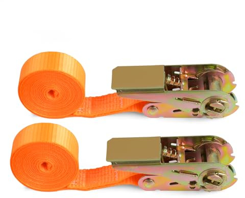 MEGAVOW Correa de Amarre con Trinquete, Tensor de Carraca, 2 m de Largo, 25 mm de Ancho, Capacidad de Carga 800 Kg, Cinchas de Sujeción de Carga para Baca, Equipaje