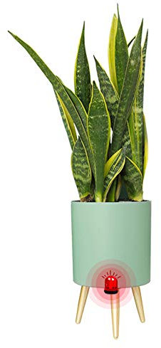 Yuepin Maceta Inteligente con Soporte, Exterior Interior Tiesto con Patas, Maceta de Flores con Alarma de Escasez de Agua, 7.5 Pulgadas Tiesto con Riego Automático & Sistema de Drenaje (Verde)