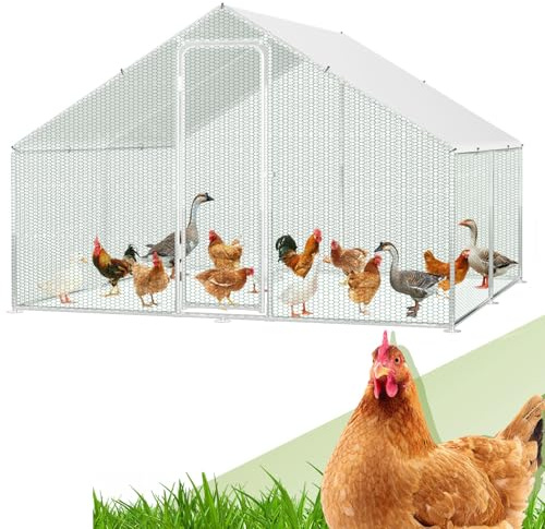 Randaco Gallinero Pajarera de exterior - Formato grande XXL - 3 x 3 x 2 m - De acero galvanizado - Recinto para animales pequeños - Con cerradura de seguridad y lona PE impermeable - Marco de acero