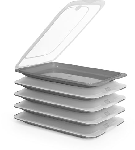 PracticDomus Hochwertige Aufschnitt-Boxen, Frischhaltedose für Aufschnitt Fresh System. Optimale Aufbewahrung im Kühlschrank, Maße 17 x 3.2 x 25.2 cm (5X Grey)