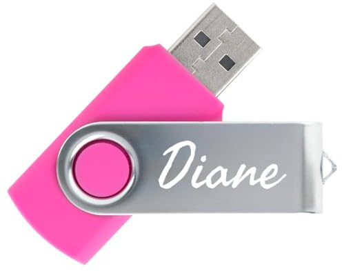 Clé USB Twister 16Go de Couleur Rose - Clef USB avec Personnalisation de Votre Texte Gravé - Stockage Sécurisé - Cadeau Unique pour Tous