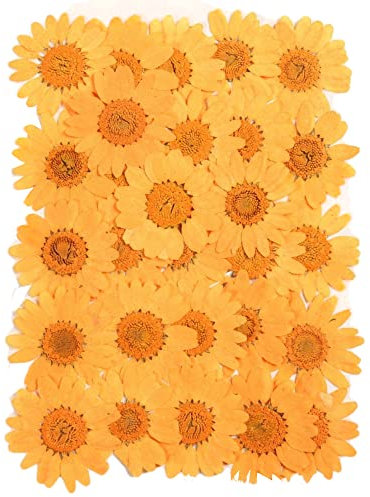 Blausky 60 Stück Natürliche Getrocknete Blumen,Gepresste Blumen,Farbige Chrysantheme Gepresste Blüten,für DIY Kerzen Harz Schmuck Handyhüllen Anhänger Scrapbooking-Dekorationen 25-30mm,Orange