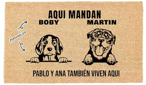 LUCA HOME - Felpudo Entrada casa Personalizados - Felpudo 2 Mascotas - Original y Divertido - Decoración hogar - Regalos Originales - Alfombra 33x60cm