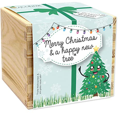 Feel Green - WE CREATE NATURE ecobox, Weihnachtbaum Merry Christmas and a happy new tree, Pflanzen Aus Der Holzbox 11x11x10cm, Made in Austria, Nachhaltige Geschenkidee, Grow Your Own/Anzuchtset
