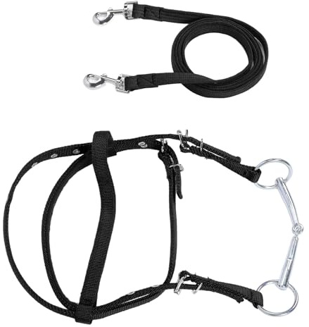 Beufee Brida de Caballo, rin Nylon Elegante Ajuste de Cuerda Ajustable ataduible Ayuda de Entrenamiento de Caballos Conjuntos de Bridas para Caballos (L)