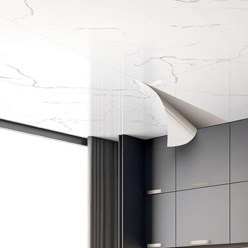 Cammeciso Deckenfliesen PVC,Deckenverkleidung Feuchtraum,Dekoren Deckenpaneele,AbgehäNgte Deckenplatten,Wasserdicht öLfest,FüR Die Wand Decke TüR Vom Studio BüRo