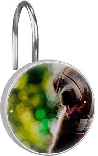 12 ganci decorativi per tende da doccia, in acciaio inox, per bagno, tenda da doccia, anelli per piccoli cani, per esterni, luce del sole