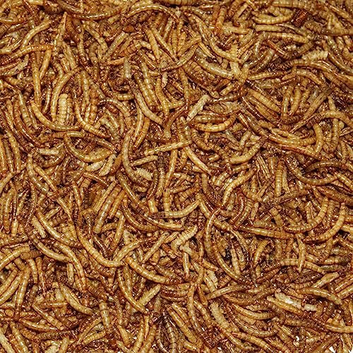 Paul´s Mühle Mehlwürmer getrocknet 2 x 5 kg = 10 kg Premiumqualität