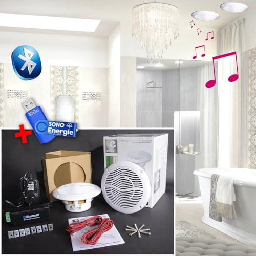 e-audio Kit Haut-Parleurs B402BL 2x15W de Plafond avec Bluetooth+Clé USB 32G