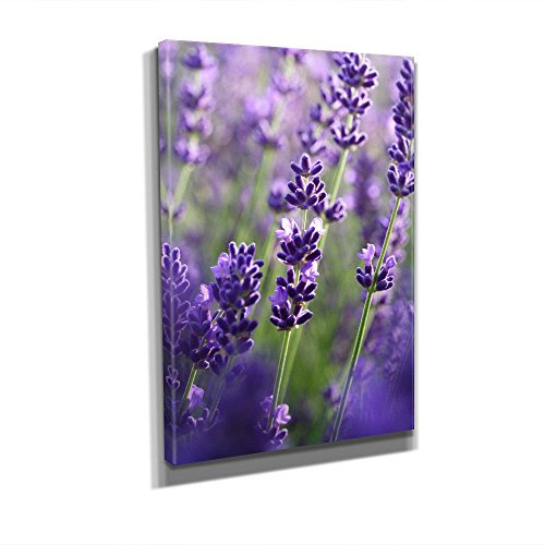 BilderKing Lavendel - Leinwandbild 60x90cm, Leinwand auf Echtholzrahmen aufgespannt, UV-stabil und wasserfest, Kunstdruck für Büro oder Wohnzimmer, XXL Deko Bild abstrakt FineArtPrint Wandbild