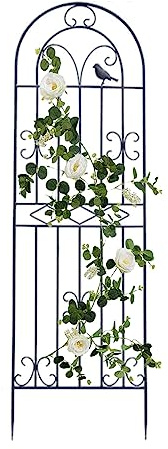 DHGVCED Garten Rankgitter, 180/200/220 cm Hoch, Dekoration, Gewölbter Zaun, Spalier Für Kletterpflanzen, Für Terrasse, Rasen, Hof, Hinterhof, Wandhalterungen(Color:Black,Size:200cm/78.4inch)