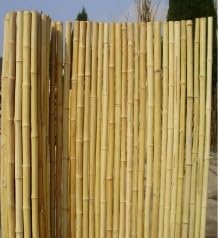 Canisses Bambou Ronds Beige 30/40 mm LG 2m Ht 1m