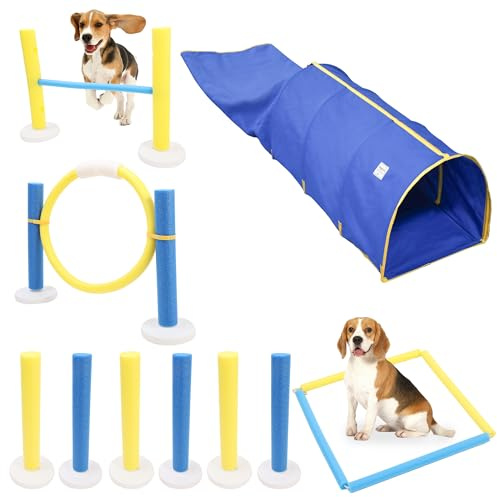 Duuclume Juego de equipo de entrenamiento de agilidad para mascotas con túnel estable, anillo de salto interactivo para perros para interiores