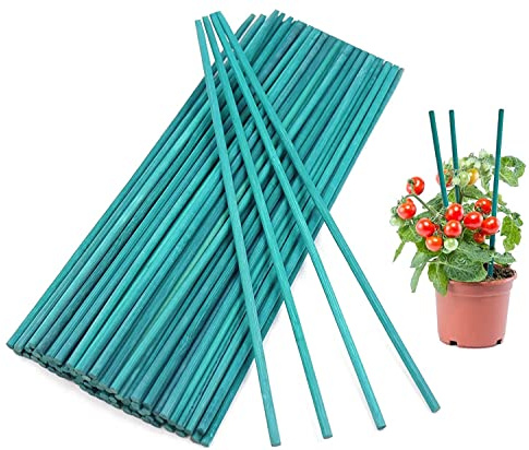 KAHEIGN 100Pcs Pflanzstützen Rankstäbe Pflanzstäbe, 30 cm Bambuspfähle Geteilte Pflanzenstützstäbe Pflanzenstangen Stützstangen für Gartenpflanze Blumenpflanze (grün)
