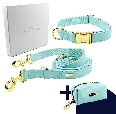 VELVETIER Hundehalsband Set Paris (Mintgrün) mit Leine, M/L 39-59 cm | Kotbeutelspender inklusive, Mintgrün wie Türkis, für mittlere und große Hunde, goldene Beschläge