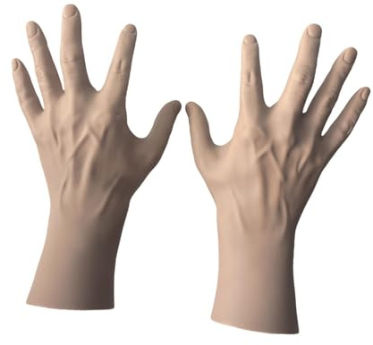 Perfeclan 2 x Linke und rechte menschliche Hand, Schaufensterpuppe, Handmodell, Schmuck-Display, Schmuck-Organizer