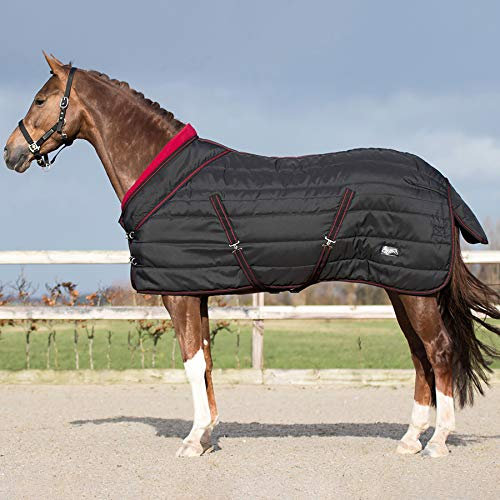 QHP Luxus Stalldecke Collection 200g Füllung Fleecekragen Kreuzgurte (115 cm) - Unisex Pferd Haustierdecke - Schwarz - Synthetik, Baumwolle, Polyester, Polypropylen - Winter
