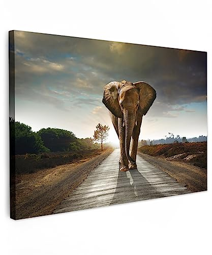 MuchoWow© Wandbilder Groß XXL Schlafzimmer Home Deko Wohnung Bild Tier | 120x80 cm - Wohnzimmer Fotoleinwand Wand Bilder Tierbilder auf Leinwand Wall Decor Wanddeko Waldtiere - Elefant