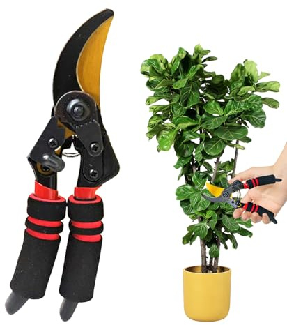 Tuxuseo Gartenschere Für Gartenarbeit, Manueller Gartenschneider, Hand-Pflanzenschneider Rasentrimmwerkzeuge, Für Gemüse Bonsai Pflanze Gras Zur Pflege Und Zum Schneiden Männer Und
